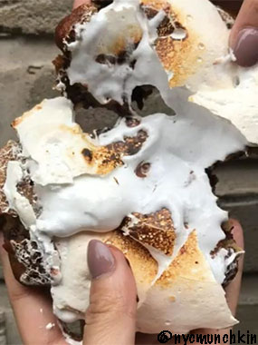 Gooey on the Inside Smores cookie
